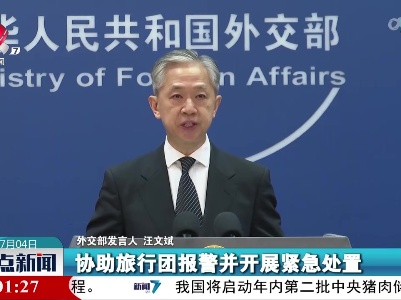 外交部发言人：在法国受骚乱波及的中国旅行团游已安全回国