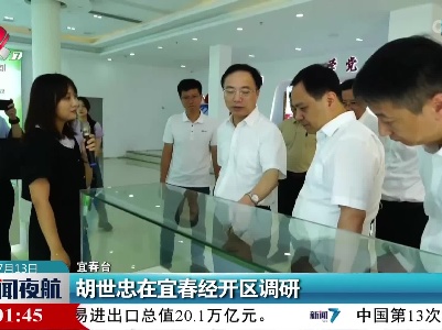 胡世忠在宜春经开区调研