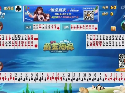 谁是赢家20230717