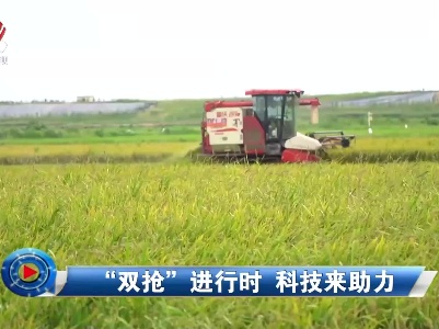社会传真20230720 “双抢”进行时 科技来助力