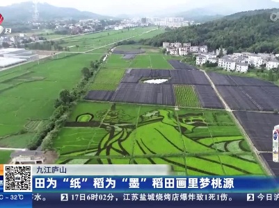 九江庐山：田为“纸”稻为“墨”稻田画里梦桃源