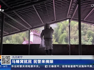 九江武宁：马蜂窝扰民 民警来摘除