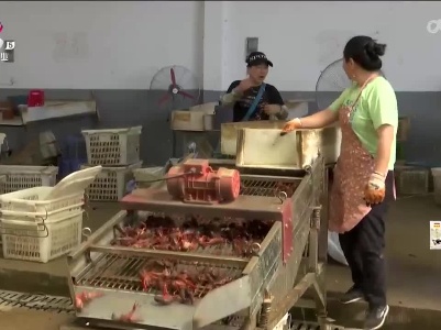 新闻晚高峰20230708