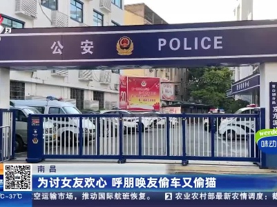 南昌：为讨女友欢心 呼朋唤友偷车又偷猫