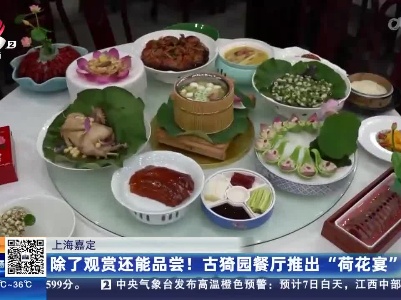 上海嘉定：除了观赏还能品尝！古猗园餐厅推出“荷花宴”