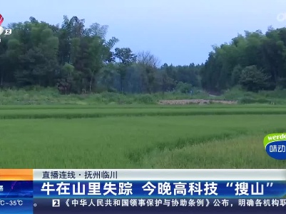 都市现场20230714
