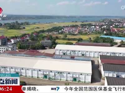 整点新闻20230718 10:00