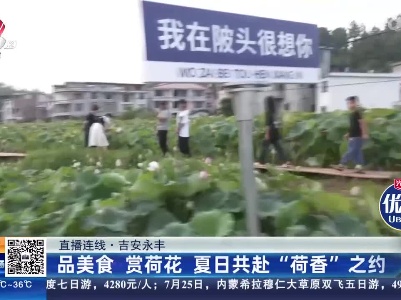 【直播连线】吉安永丰：品美食 赏荷花 夏日共赴“荷香”之约