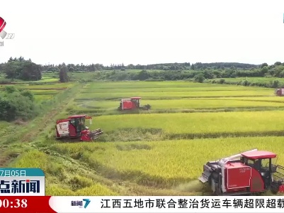 整点新闻20230705 16:00
