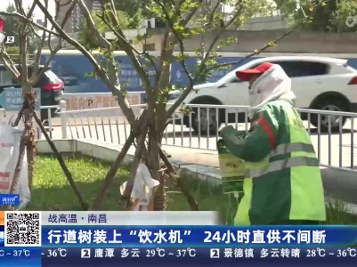 【战高温】南昌：行道树装上“饮水机” 24小时直供不间断
