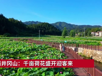 江西井冈山：千亩荷花盛开迎客来