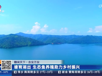 【赣闻天下】吉安万安：塘育湖出 生态鱼养殖助力乡村振兴