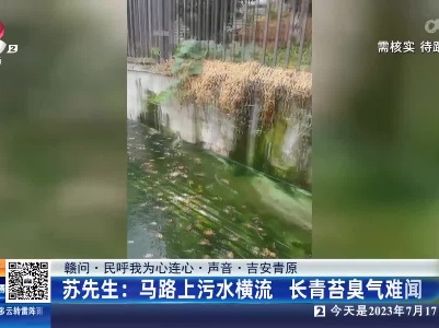 【赣问·民呼我为心连心·声音·吉安青原】苏先生：马路上污水横流 长青苔臭气难闻