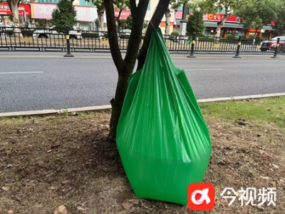 滴水解“渴” 鹰潭全力抗旱保绿