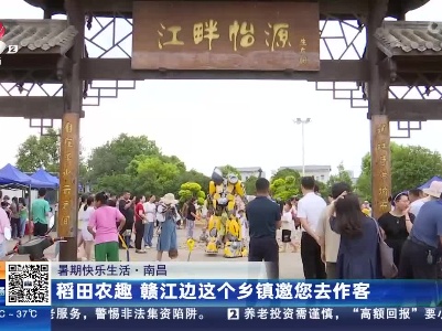 【暑期快乐生活】南昌：稻田农趣 赣江边这个乡镇邀您去作客