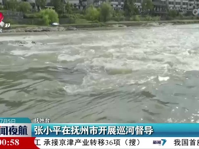 张小平在抚州市开展巡河督导