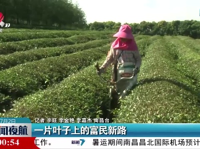 一片叶子上的富民新路
