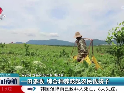 一田多收 综合种养鼓起农民钱袋子