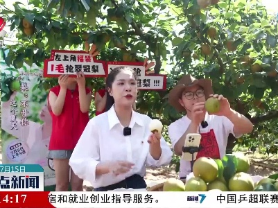 翠冠梨迎丰产 游客采摘销售忙