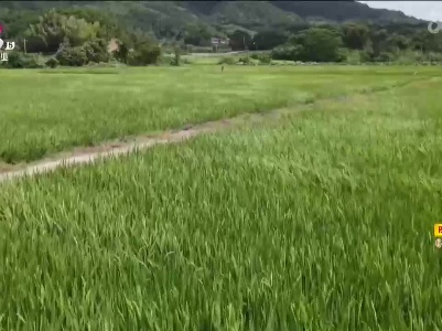 新闻晚高峰20230709