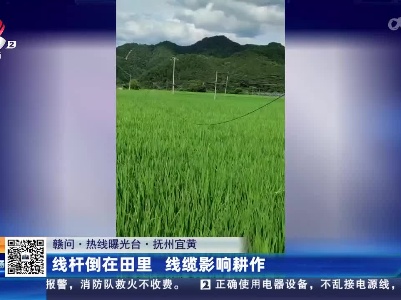 【赣问·热线曝光台】抚州宜黄：线杆倒在田里 线缆影响耕作
