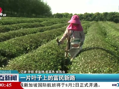一片叶子上的富民新路