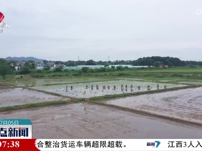 整点新闻20230705 14:00