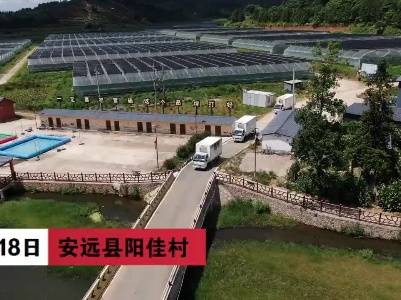 赣州安远：蔬菜不需进“冷库” 3小时直达大湾区