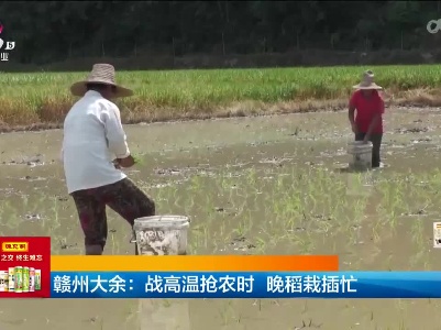 新闻晚高峰20230725