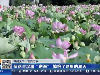 【赣闻天下】吉安万安：荷花与汉服“邂逅” 惊艳了这里的夏天