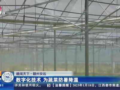 【赣闻天下】赣州安远：数字化技术 为蔬菜防暑降温