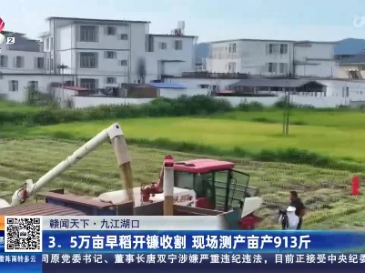 【赣闻天下】九江湖口：3.5万亩早稻开镰收割 现场测产亩产913斤