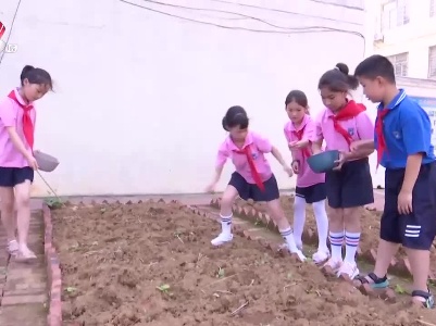 哈尼小记者20230725