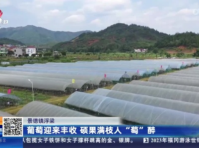 都市现场20230715