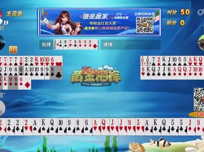 谁是赢家20230720