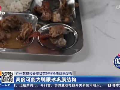 广州某职校食堂饭菜异物检测结果发布：高度可能为鸭眼球巩膜结构