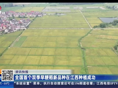 全国首个双季早粳稻新品种在江西种植成功