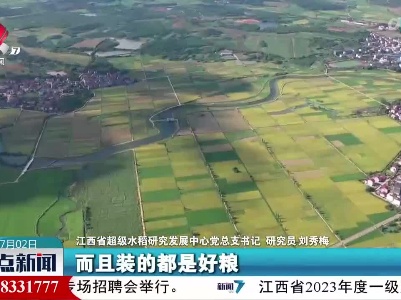 超级稻中心：做强“种子芯片” 端牢“中国饭碗”