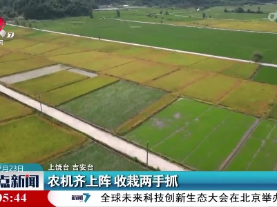 农机齐上阵 收栽两手抓