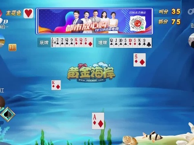 谁是赢家20230721