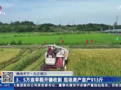 都市现场·午间版20230715