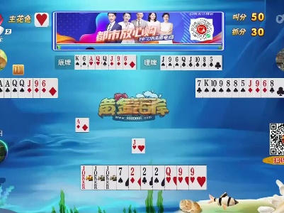 谁是赢家20230727