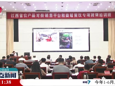 整点新闻20230708 10:00
