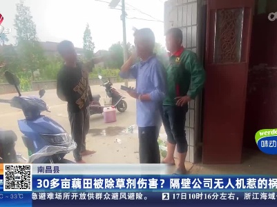 南昌县：30多亩藕田被除草剂伤害？隔壁公司无人机惹的祸