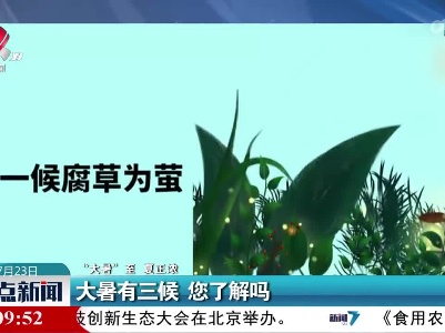 【“大暑”至 夏正浓】大暑有三候 您了解吗