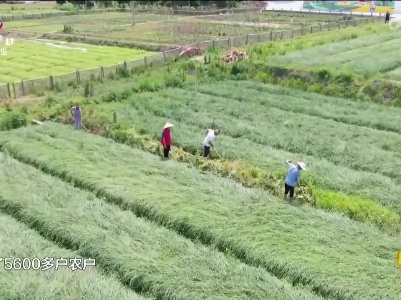 新闻晚高峰20230703