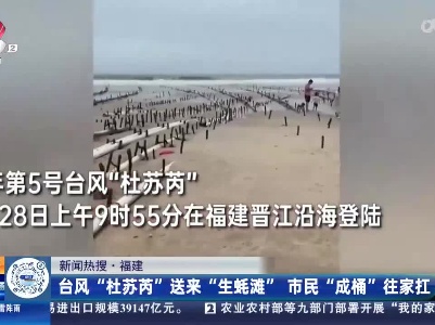 【新闻热搜】福建：台风“杜苏芮”送来“生蚝滩” 市民“成桶”往家扛