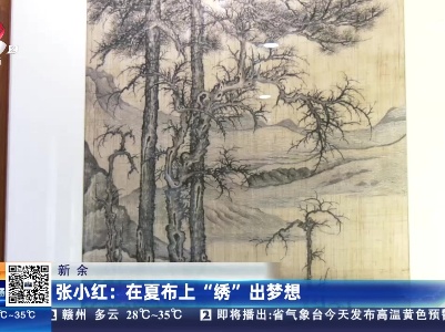 新余·张小红：在夏布上“绣”出梦想
