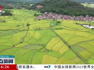 整点新闻20230717 12:00