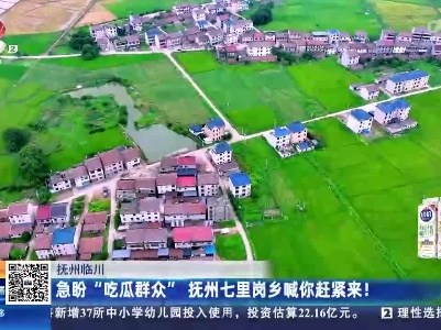 抚州临川：急盼“吃瓜群众” 抚州七里岗乡喊你赶紧来！